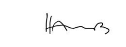 Markus Haub signature