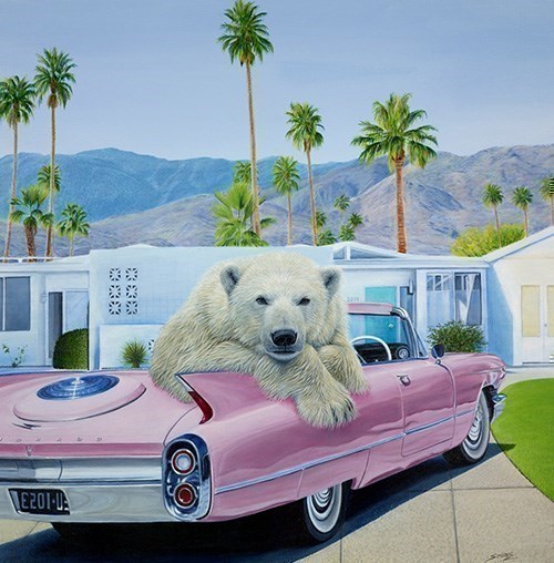 Steve Tandy