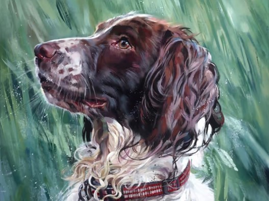 Come and Meet Debbie Boon