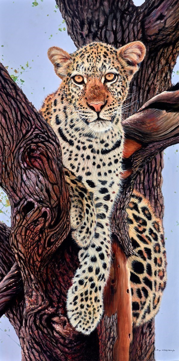 Leopard in Tree by Pip McGarry | Whitewall Galleries