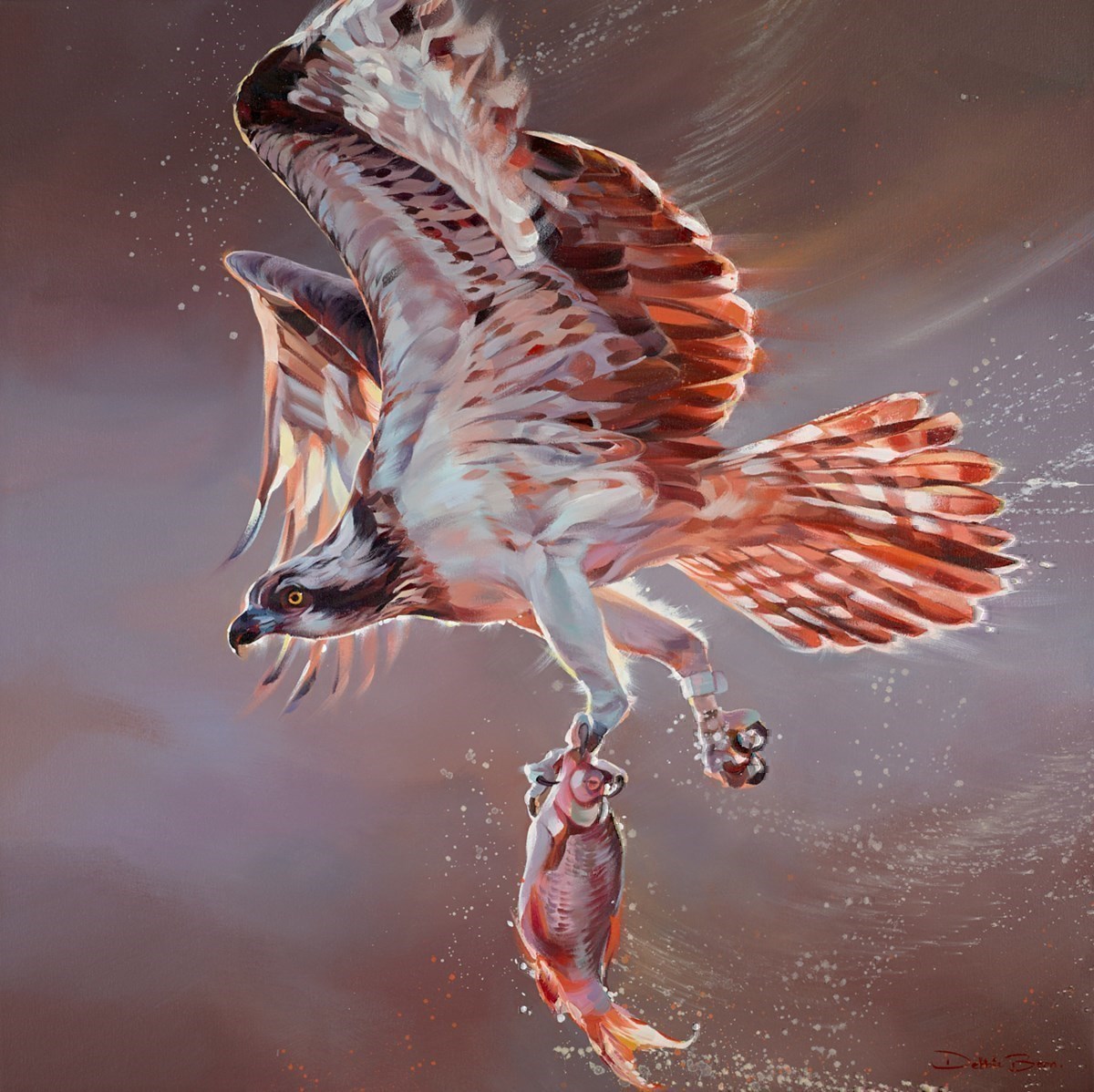 Debbie Boon Art from Whitewall Galleries